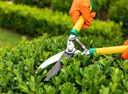 Eco-Friendly Landscaping Ideas You Can Start Today